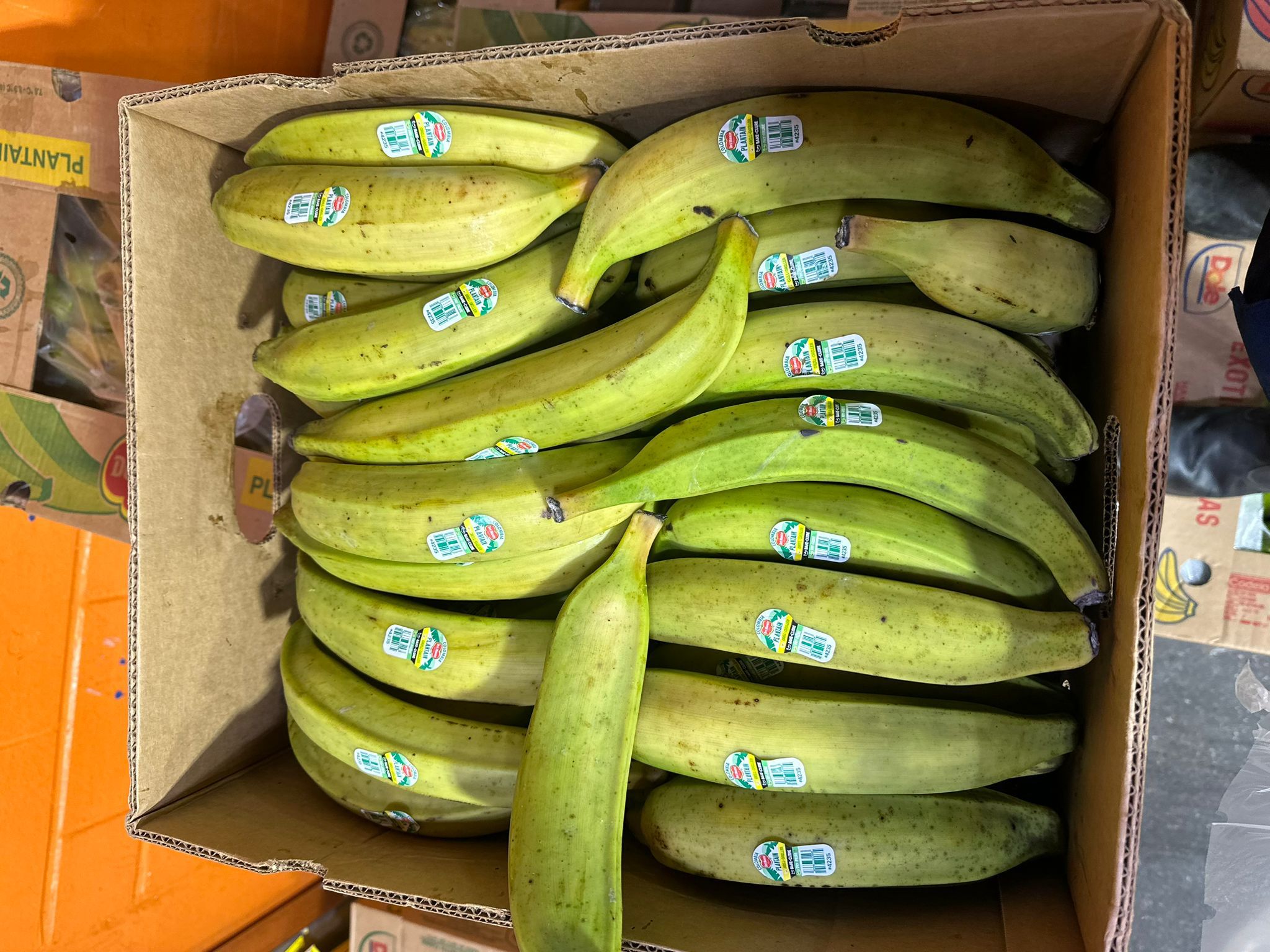 WhatsApp-Image-2024-11-08-at-22.00.48_1ecbaa15.jpg Ripe Plantain - Image 1