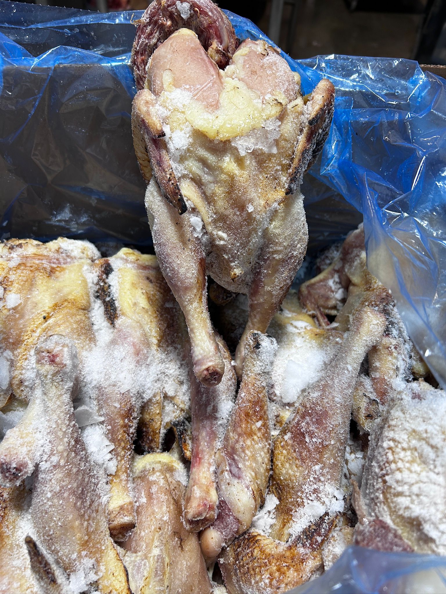 WhatsApp-Image-2024-11-09-at-22.20.33_df25f205.jpg Stewing Hen - Image 1