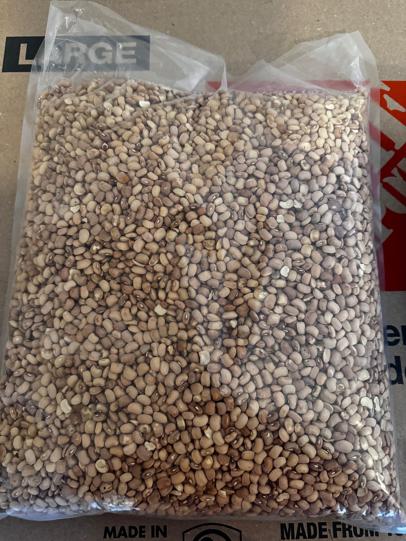 WhatsApp-Image-2024-11-23-at-14.59.52.jpeg Honey beans - Image 1