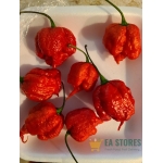 Ghost and Reaper Pepper