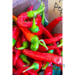 Cayenne Pepper (bawa)
