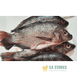 Tilapia