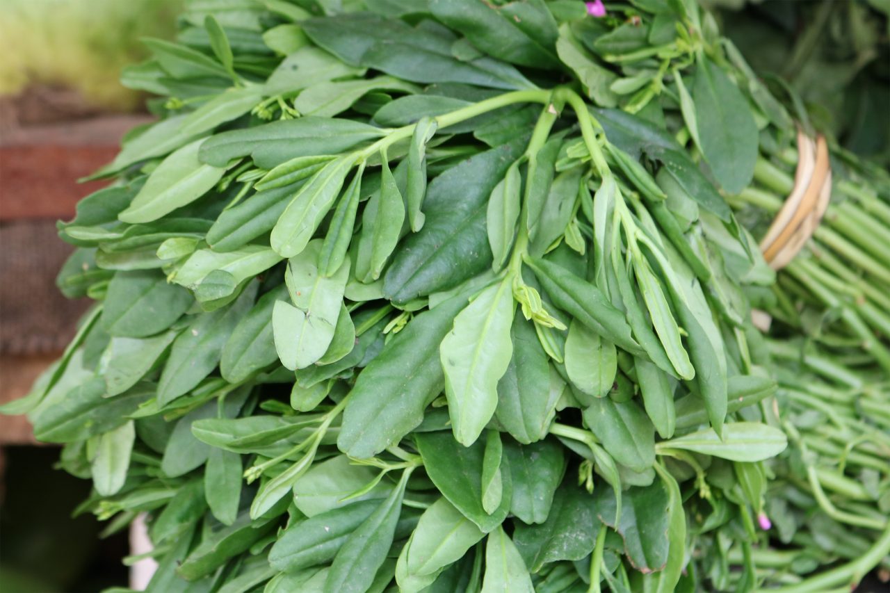 iyaloja-direct-16.jpg Waterleaf - Image 1