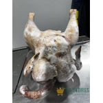 Smoked chicken (whole)