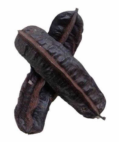 img_7887 Uyayak (Aidan) - Image 1