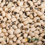 White Beans