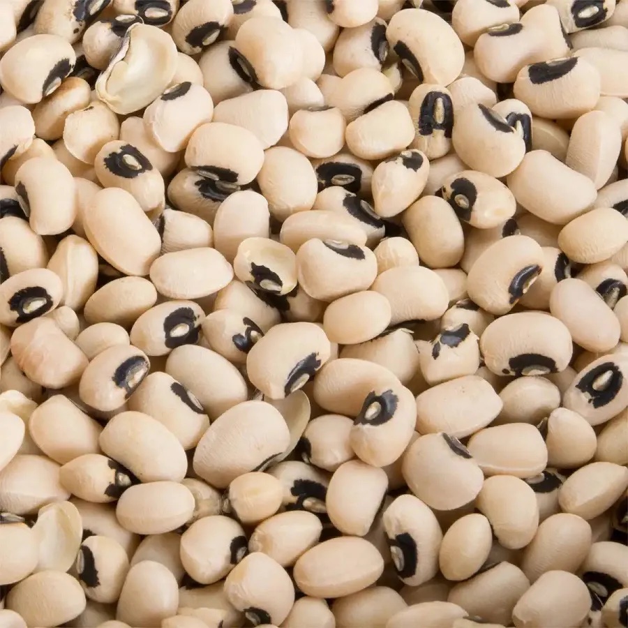 img_8657 White Beans - Image 1