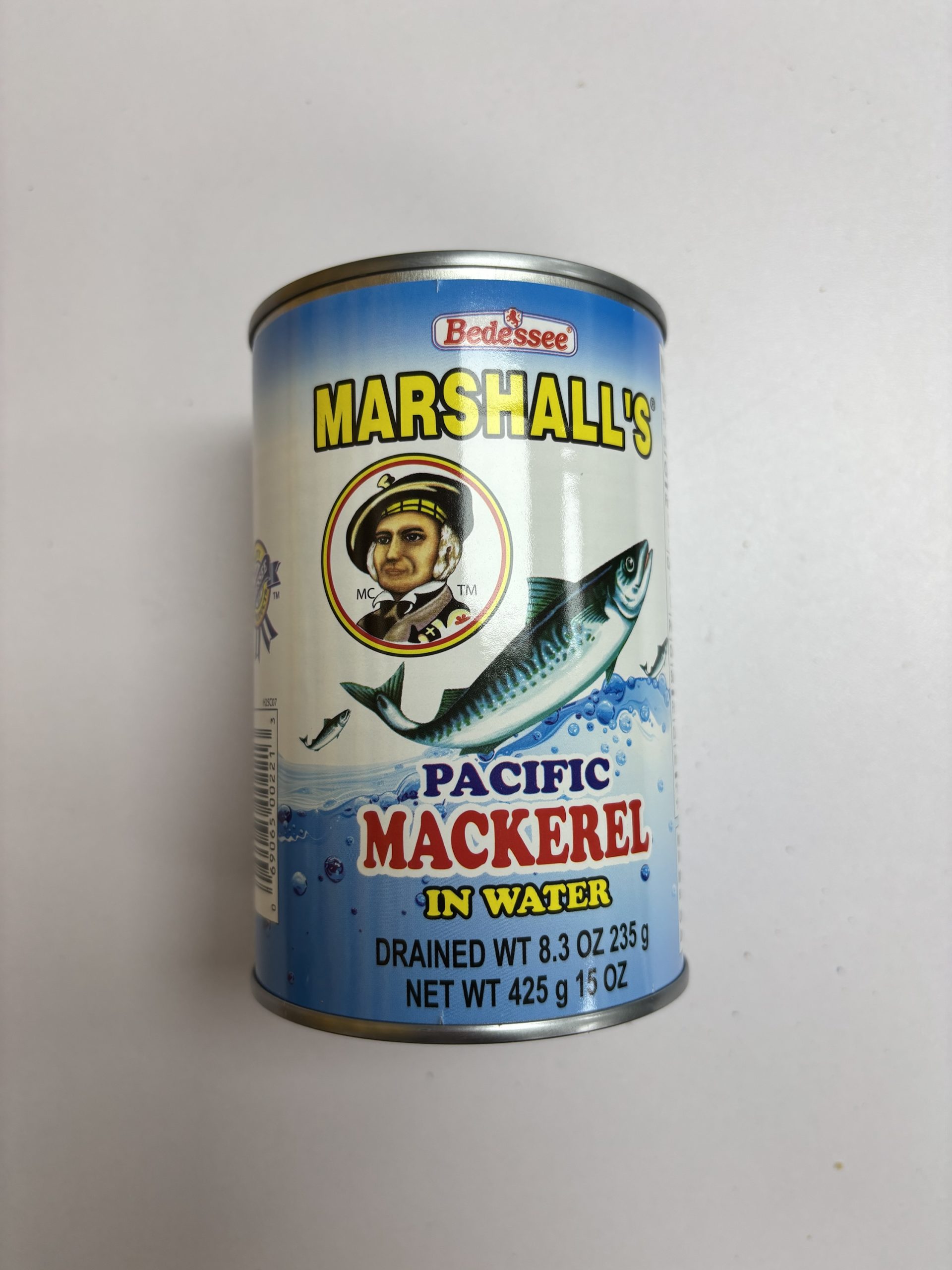 img_0990 Marshall’s Mackerel in Water - Image 1